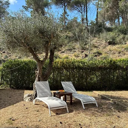 Casa Con Gran Jardin Privado Y Piscina Comunitaria En Torroella De Montgri - Es-323-44 Holiday home *